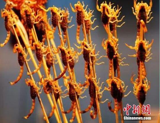图为一位云南大妈向你推荐油炸水蜈蚣.